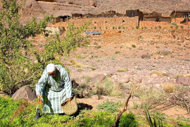 Ecolodge Ouednoujoum ورزازات المظهر الخارجي الصورة