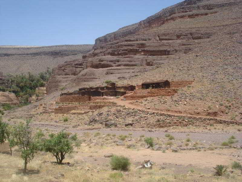 Ecolodge Ouednoujoum ورزازات المظهر الخارجي الصورة